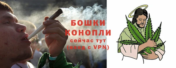 мяу мяу мука Анива