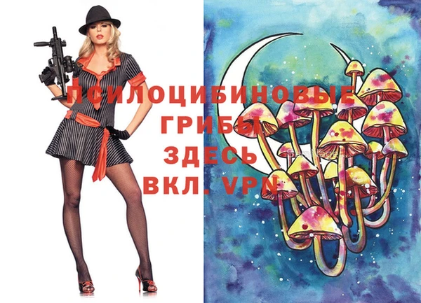 ПСИЛОЦИБИНОВЫЕ ГРИБЫ Липки