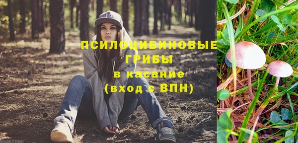 каннабис Майский